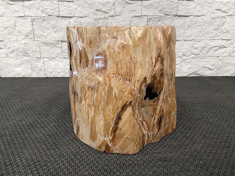 BUY PETRIFIED WOOD SIDE TABLE LOREN