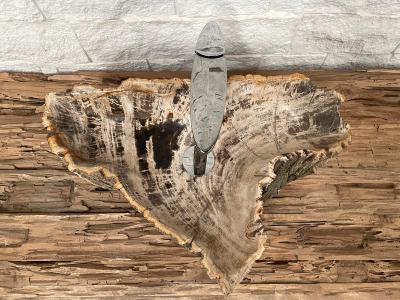 VERSTEINERTES HOLZ-WASCHBECKEN KAUFEN - LEGIAN