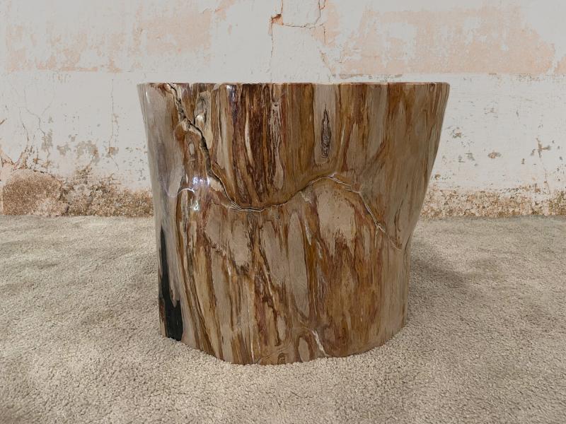 PETRIFIED WOOD POLISHED STOOL LEVANI