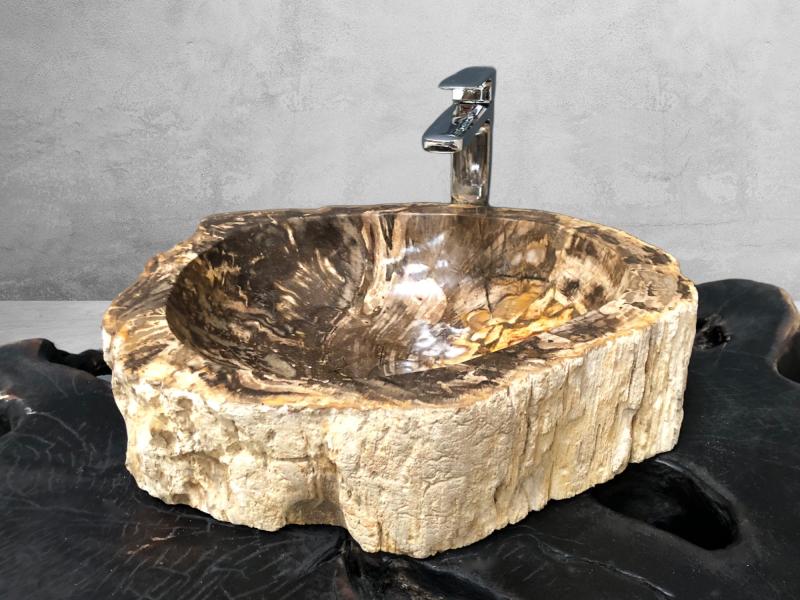 FOSSILIZED WOODEN WASHBASIN BANUS