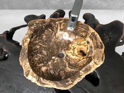 BUY PETRIFIED WOOD WASHBASIN BANUS