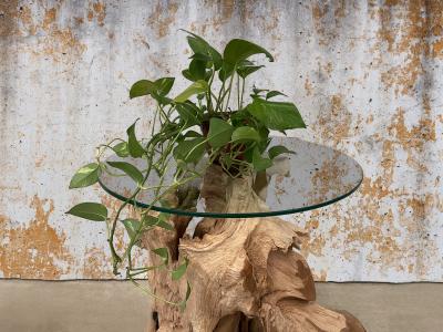 DETAIL OF SIDE TABLE WITH TREE ROOT VALENTINA