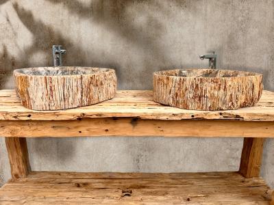 PETRIFIED WOOD TWIN WASHBASINS MARKUS