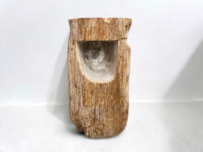 DETAIL OF PEDESTAL SINK IN PETRIFIED WOOD NATURE