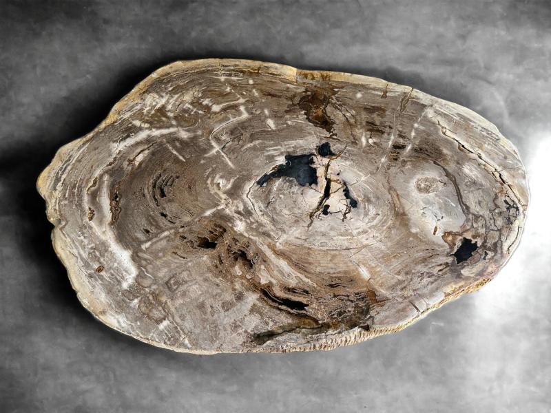 PETRIFIED WOOD COFFEE TABLE UMA