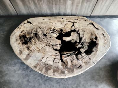 TISCH AUS VERSTEINERTEM HOLZ BELA