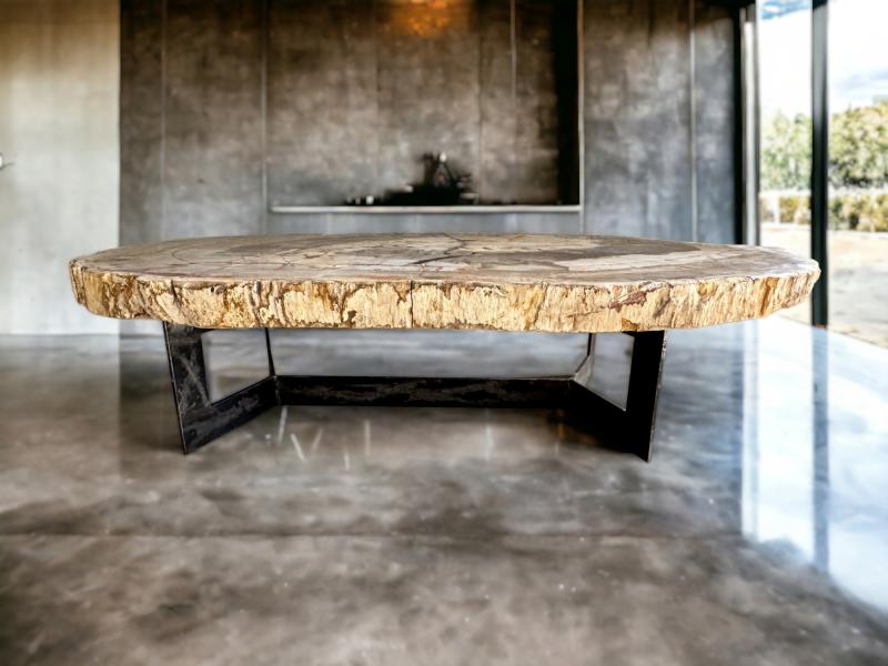 BUY PETRIFIED WOOD COFFEE TABLE ATENEA