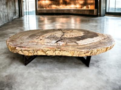 TISCH AUS VERSTEINERTEM HOLZ ATENEA