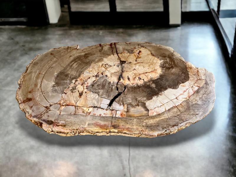 EXCLUSIVE PETRIFIED WOOD COFFEE TABLE ATENEA