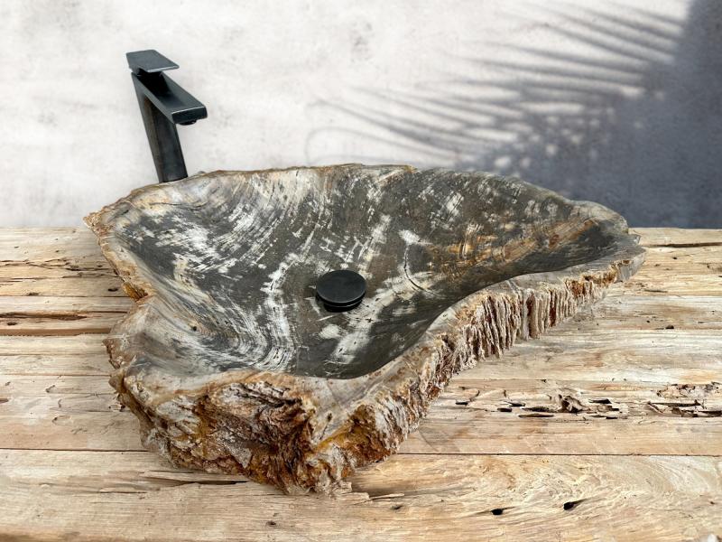 FOSSILIZED WOODEN WASHBASIN PARDUS