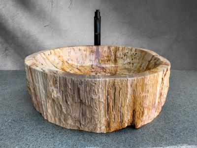 FOSSILIZED WOODEN SINK MOZART