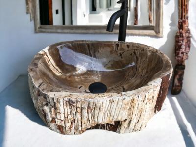 WASHBECKEN AUS VERSTEINERTEM HOLZ PARIS