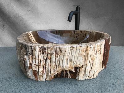 BUY PETRIFIED WOOD SINK PARIS