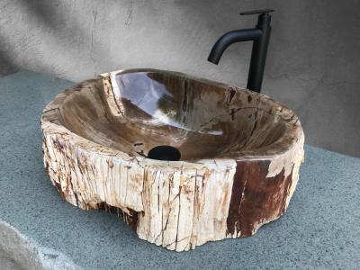 PETRIFIED WOOD WASHBASIN PARIS