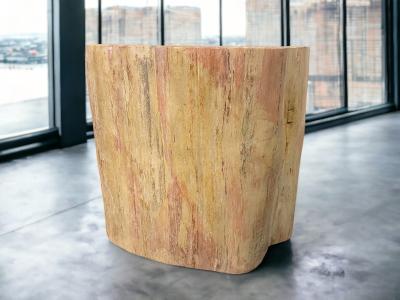 DECORATIVE PETRIFIED WOOD STOOL CLAUDE