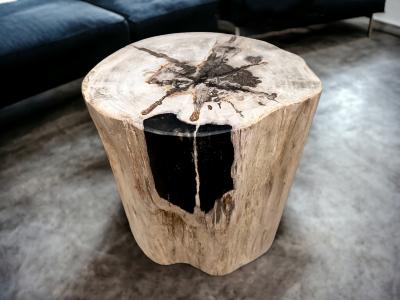 BLACK PETRIFIED WOOD SIDE TABLE