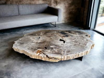 PETRIFIED WOOD TABLE ALMA