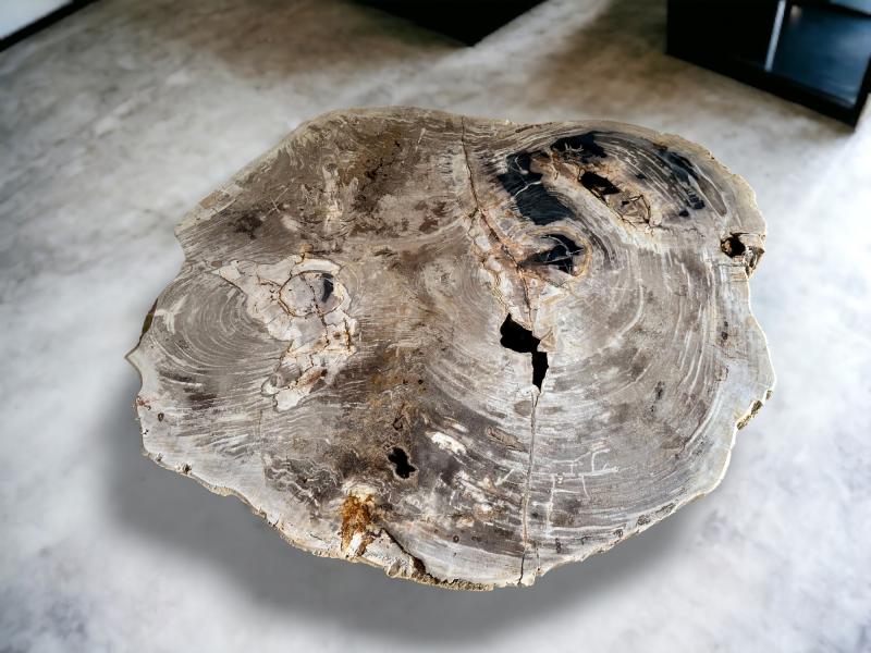 PETRIFIED WOOD COFFEE TABLE ALMA