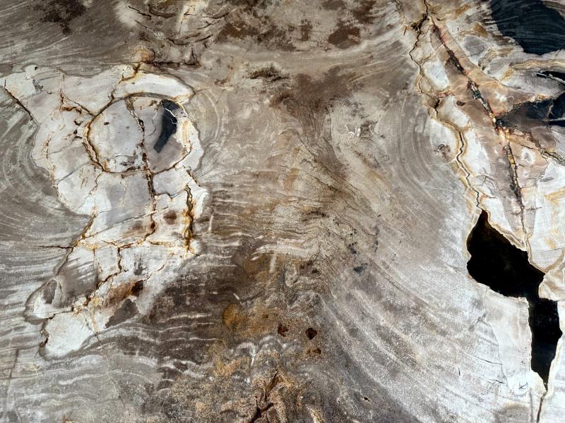 Acquistare tavolino in pietra fossile Alma