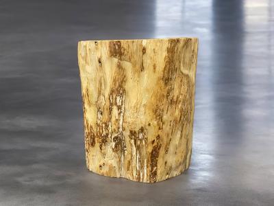 PETRIFIED WOOD STOOL JAWA