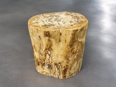 FOSSIL WOOD STOOL JAWA