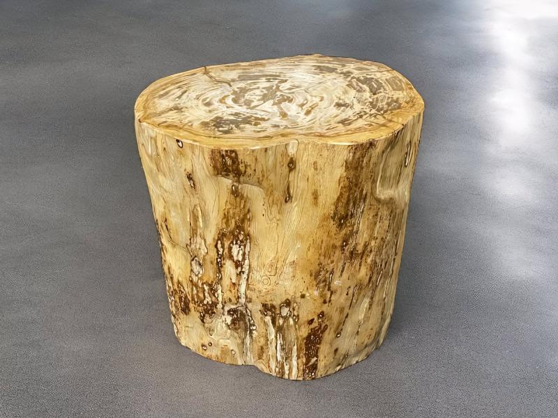 TABOURET EN BOIS FOSSILE JAWA