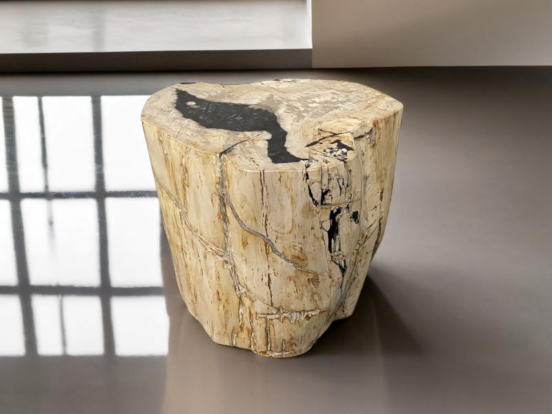 PETRIFIED WOOD SIDE TABLE TALASA