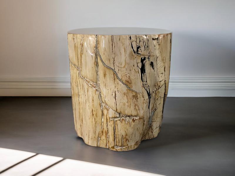 TABLE BASSE EN BOIS FOSSILISE TALASA