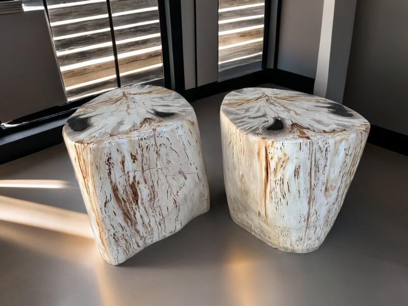 PAIR OF PETRIFIED WOOD STOOLS ALASKA