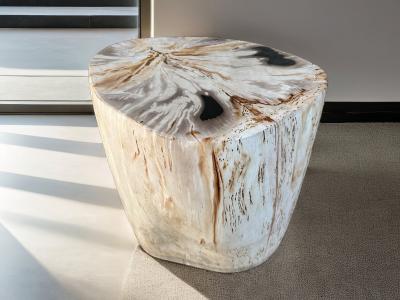 FOSSIL WOOD STOOL ALASKA