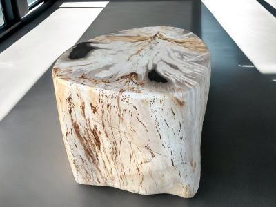 FOSSILER HOLZHOCKER - ALASKA