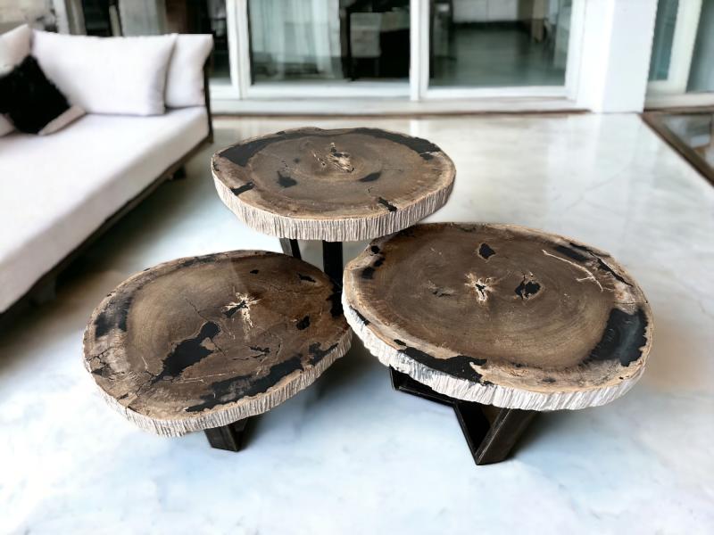 SET DE TABLE BASSE EN BOIS PETRIFIE MALDIVES