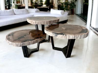 ENSEMBLE DE TABLE BASSE EN BOIS PETRIFIE MALDIVES