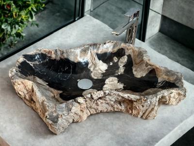 BUY FOSSILIZED WOOD SINK LEWIS