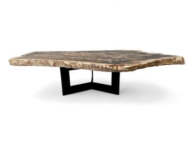 TABLE BASSE EN BOIS PETRIFIE PADOUE