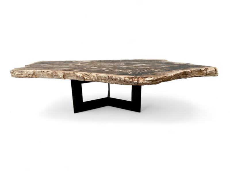 COFFEE TABLE IN PETRIFIED WOOD PADUA