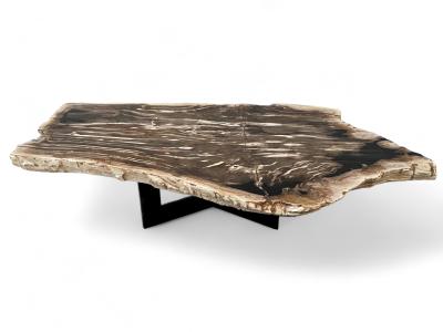 ELONGATED COFFEE TABLE IN PETRIFIED WOOD PADUA