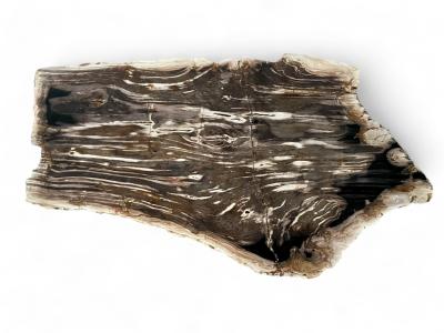 EXCLUSIVE COFFEE TABLE IN PETRIFIED WOOD PADUA