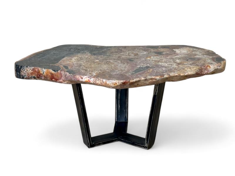 BUY PETRIFIED WOOD COFFEE TABLE ANDRY