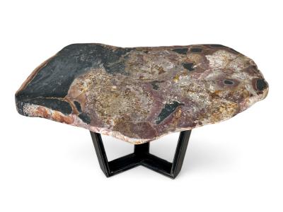 PETRIFIED WOOD COFFEE TABLE ANDRY