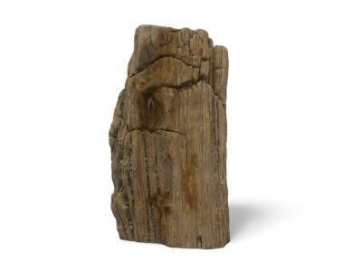 PETRIFIED WOOD SCULPTURE ELODIE