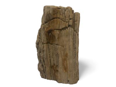 COMPRAR ESCULTURA DECORATIVA DE MADERA PETRIFICADA ELODIE