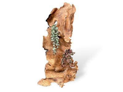 HOLZSKULPTUR KAUFEN - SUZANNE