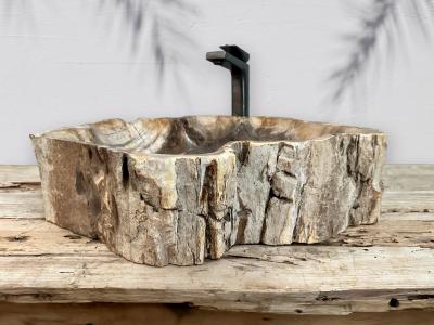 BUY PETRIFIED WOOD SINK CHAGULAK