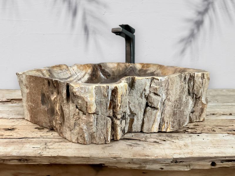 BUY PETRIFIED WOOD SINK CHAGULAK