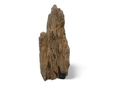 PETRIFIED WOOD SCULPTURE