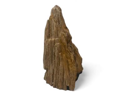 PETRIFIED WOODEN SCULPTURE