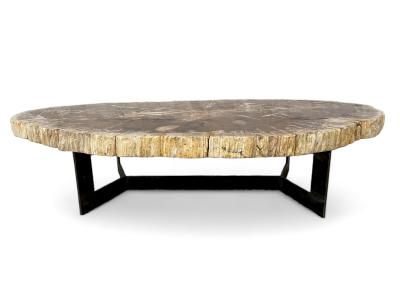 COFFEE TABLE MADE OF PETRIFIED TREE TRUNK MOOREA