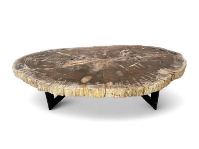 ACHETER TABLE BASSE EN TRONC D'ARBRE PETRIFIE MOOREA