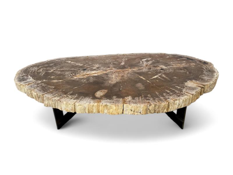 BUY COFFEE TABLE OF PETRIFIED TREE TRUNK MOOREA